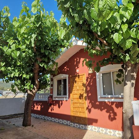 Camping Los Pinos Peñíscola Dış mekan fotoğraf