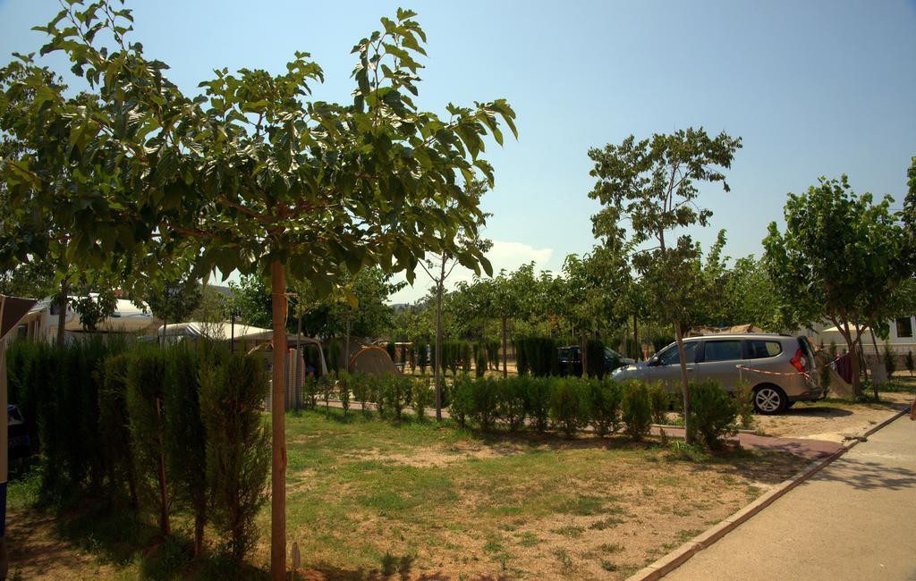 Camping Los Pinos Peñíscola Dış mekan fotoğraf