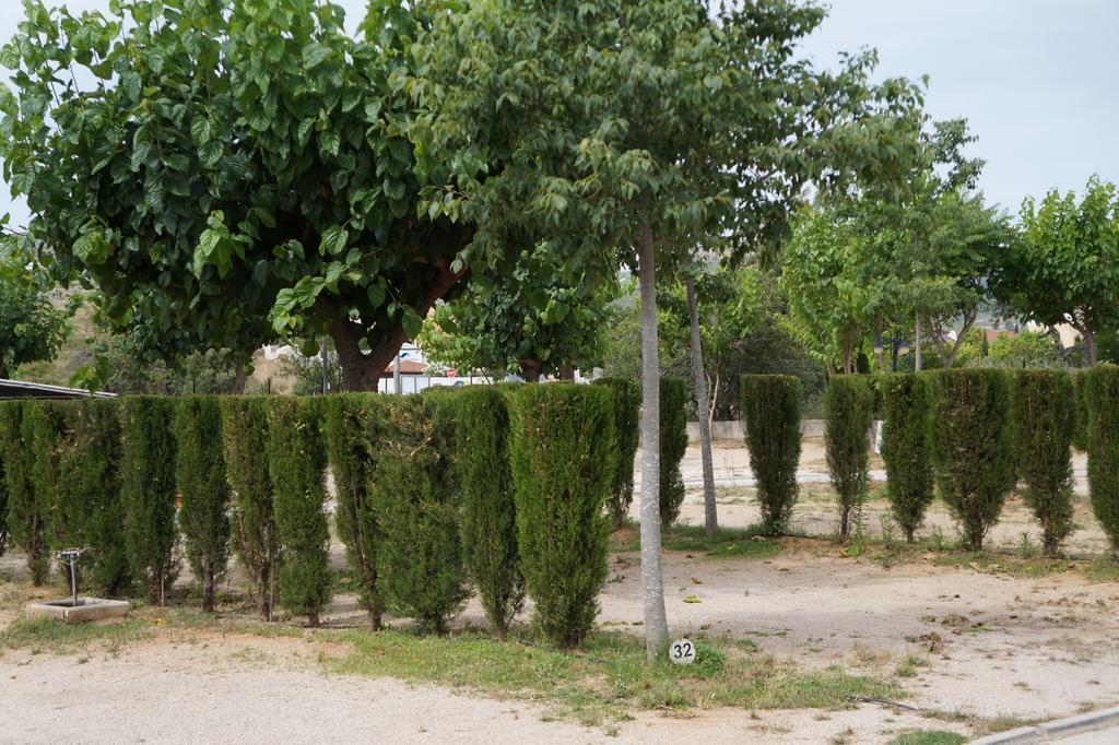 Camping Los Pinos Peñíscola Dış mekan fotoğraf